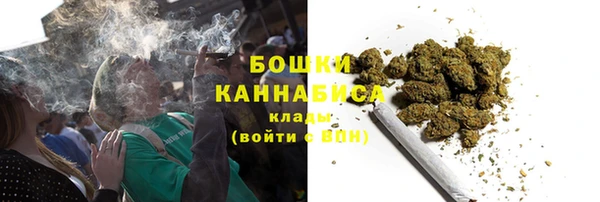 дживик Дмитров