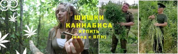 дживик Дмитров