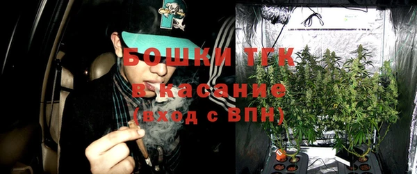 молекула духа Дмитриев