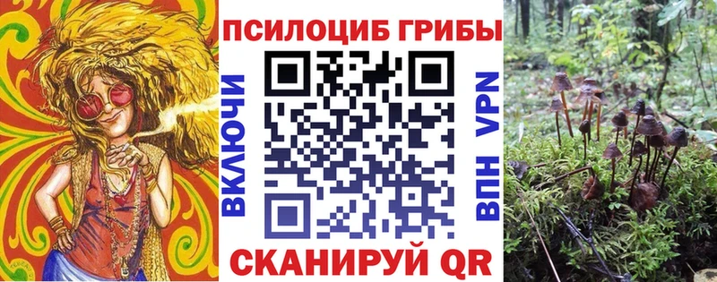 ссылка на мегу зеркало  купить  сайты  Нурлат  Галлюциногенные грибы GOLDEN TEACHER 