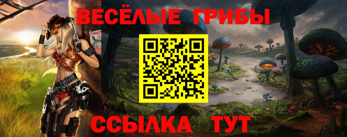 Галлюциногенные грибы мицелий  Вход с VPN  Нурлат  Псилоцибиновые грибы мицелий 